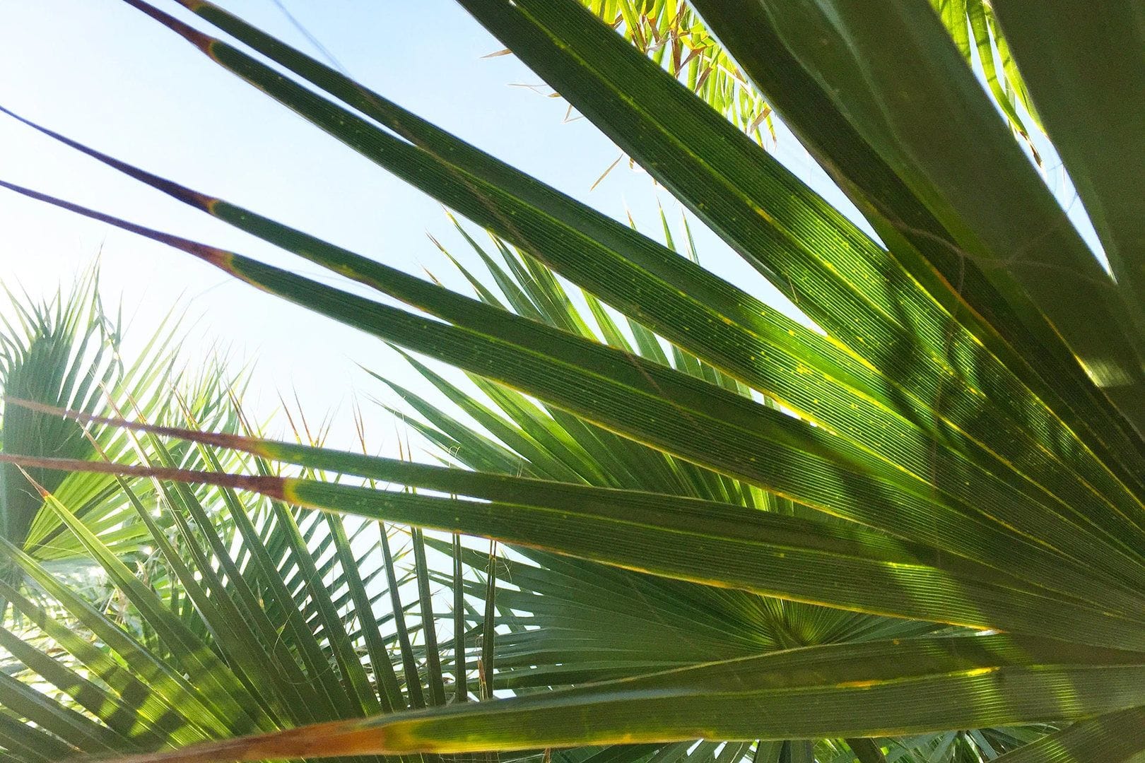 Cyprus Weather – Second Summer?