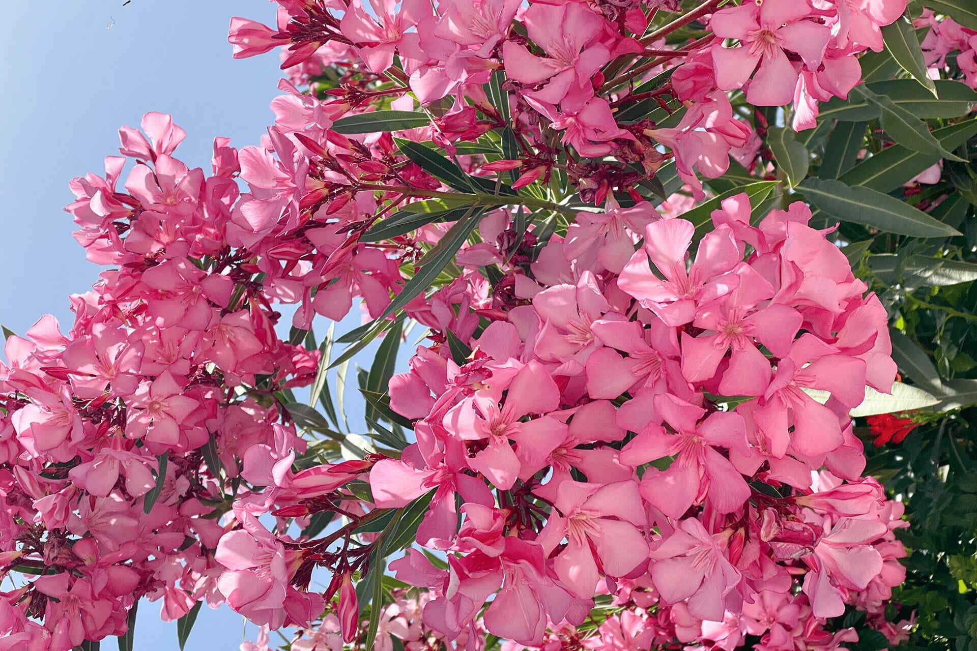 Cyprus Spring Weather