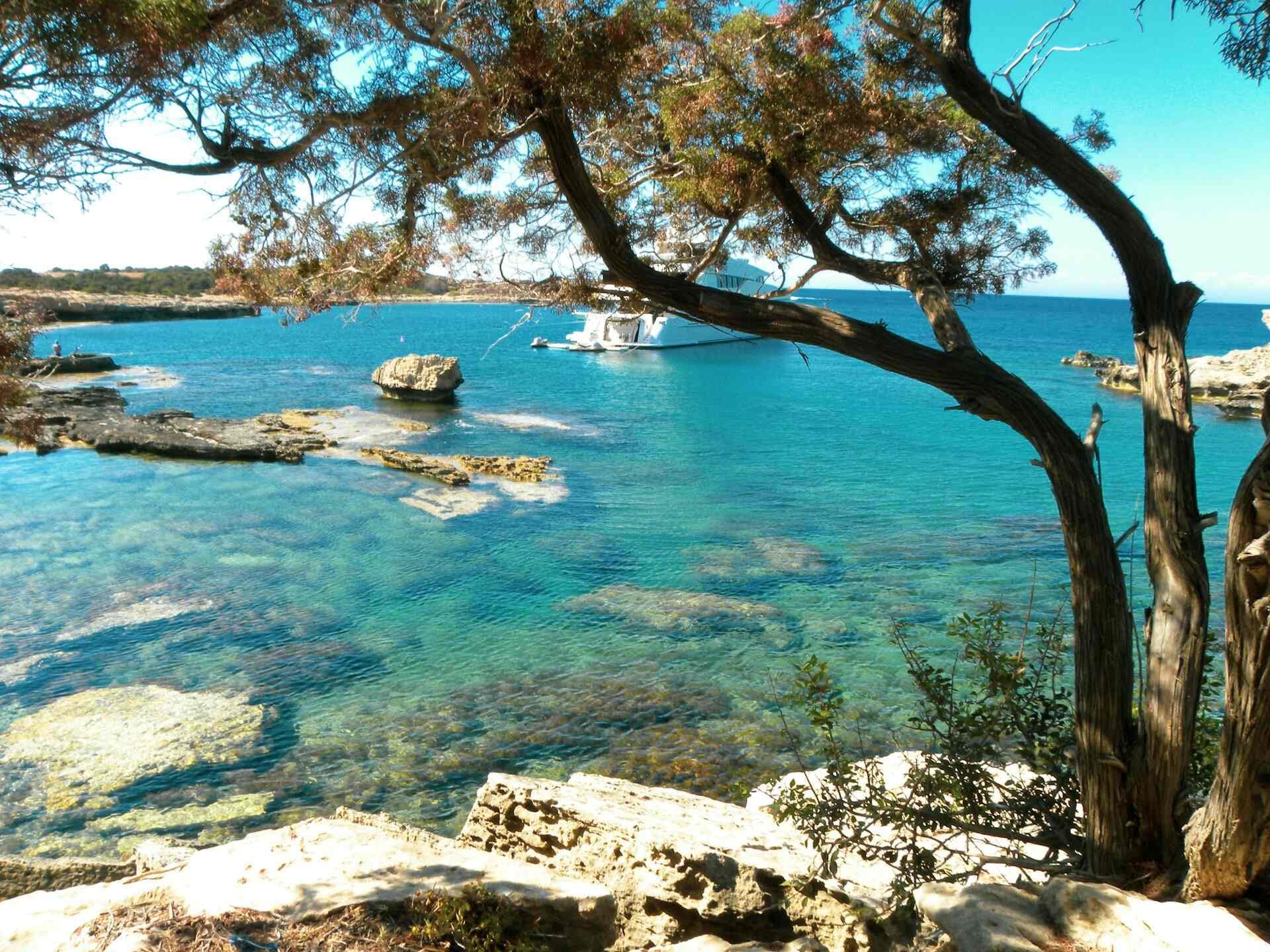 Χερσόνησος Ακάμα