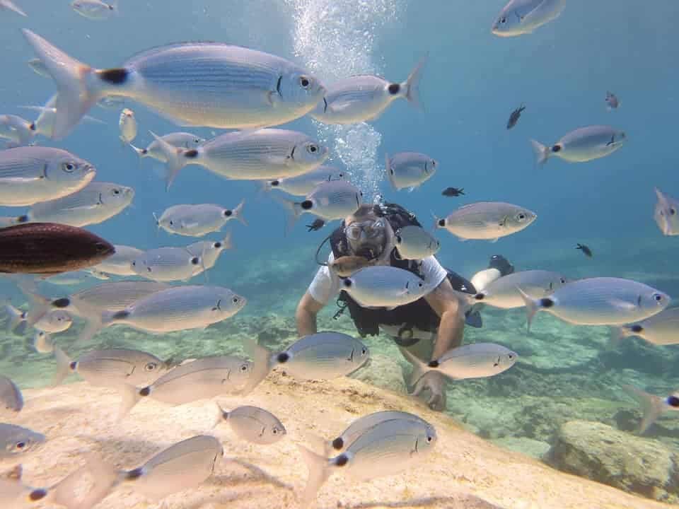 Dragon Divers: Καταδύσεις στην Κύπρο