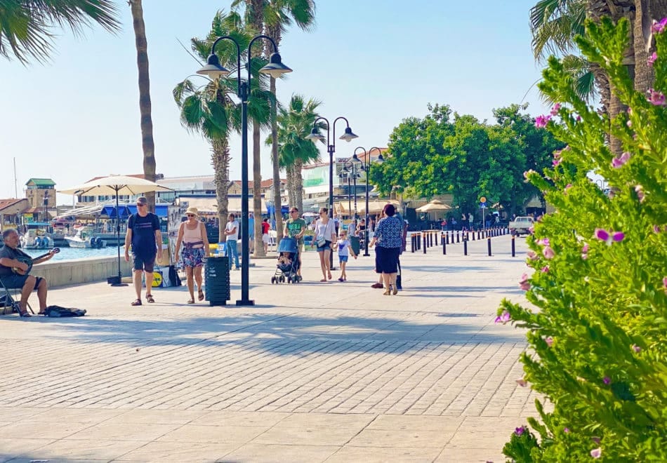 Busslinjer i Paphos