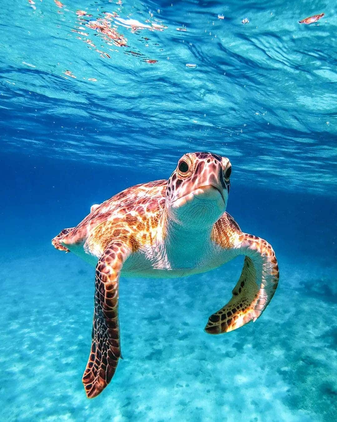 Unterwasser-Abenteuer in Protaras