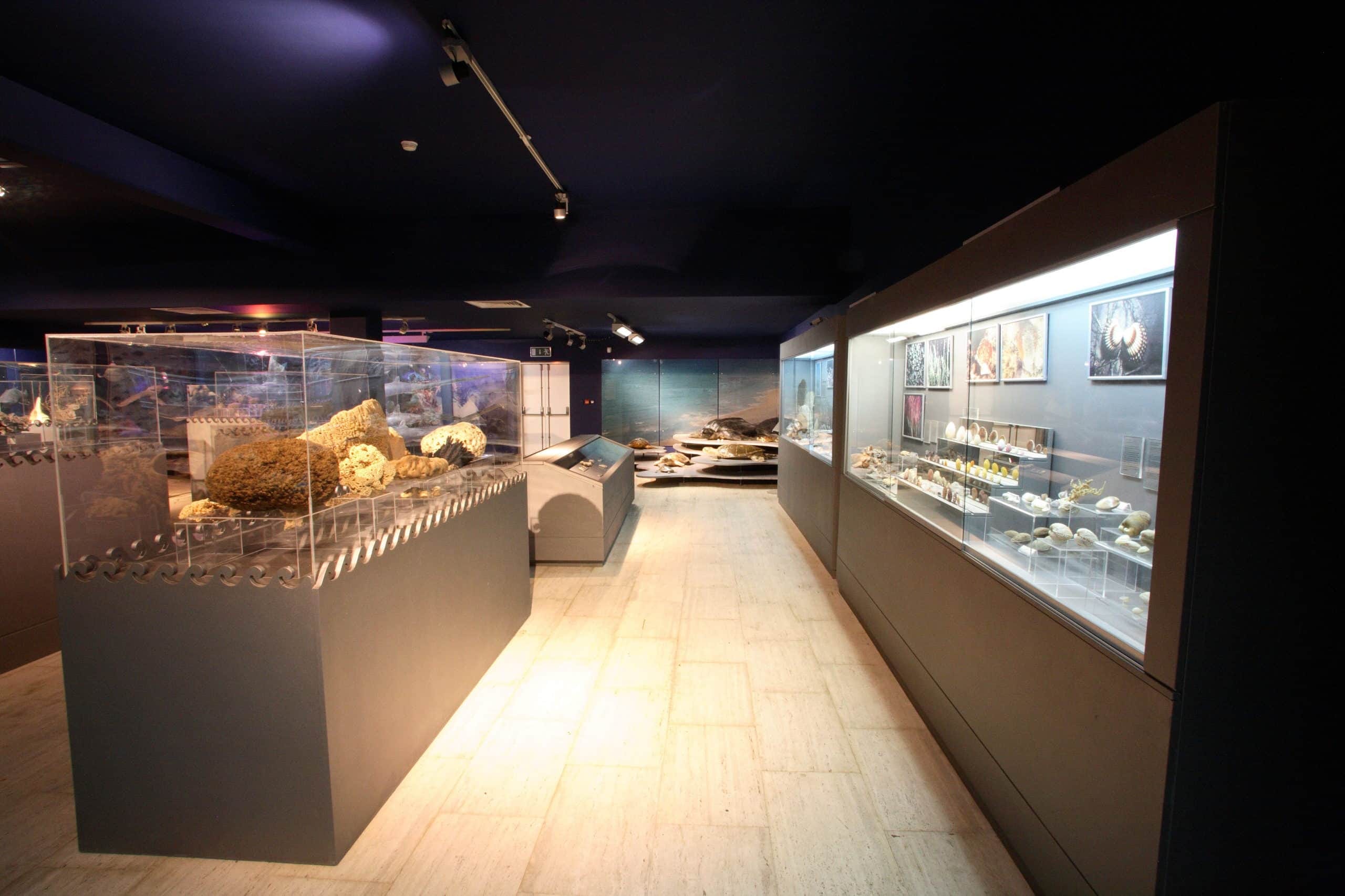Thalassa-Museum