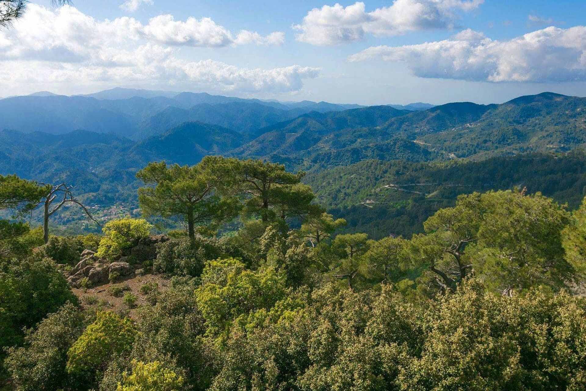 Troodos-Gebirge