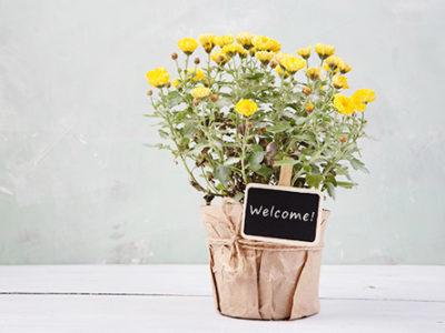Welcome Pack with Cyprus Villa Retreats